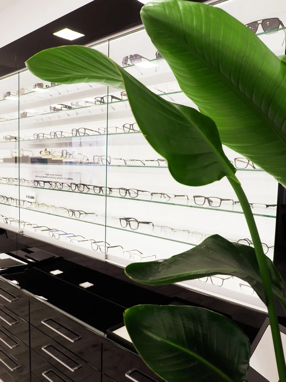 DNEye®-Scanner im Sprechzimmer von Opti Atelier